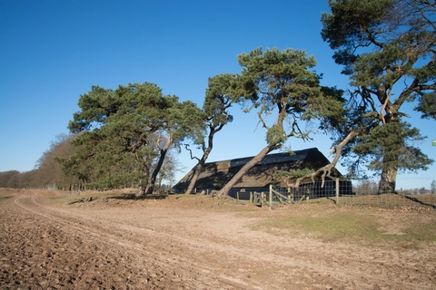 Ginkelse Heide, Rozendaalsche Velde and De Wetbos Loop