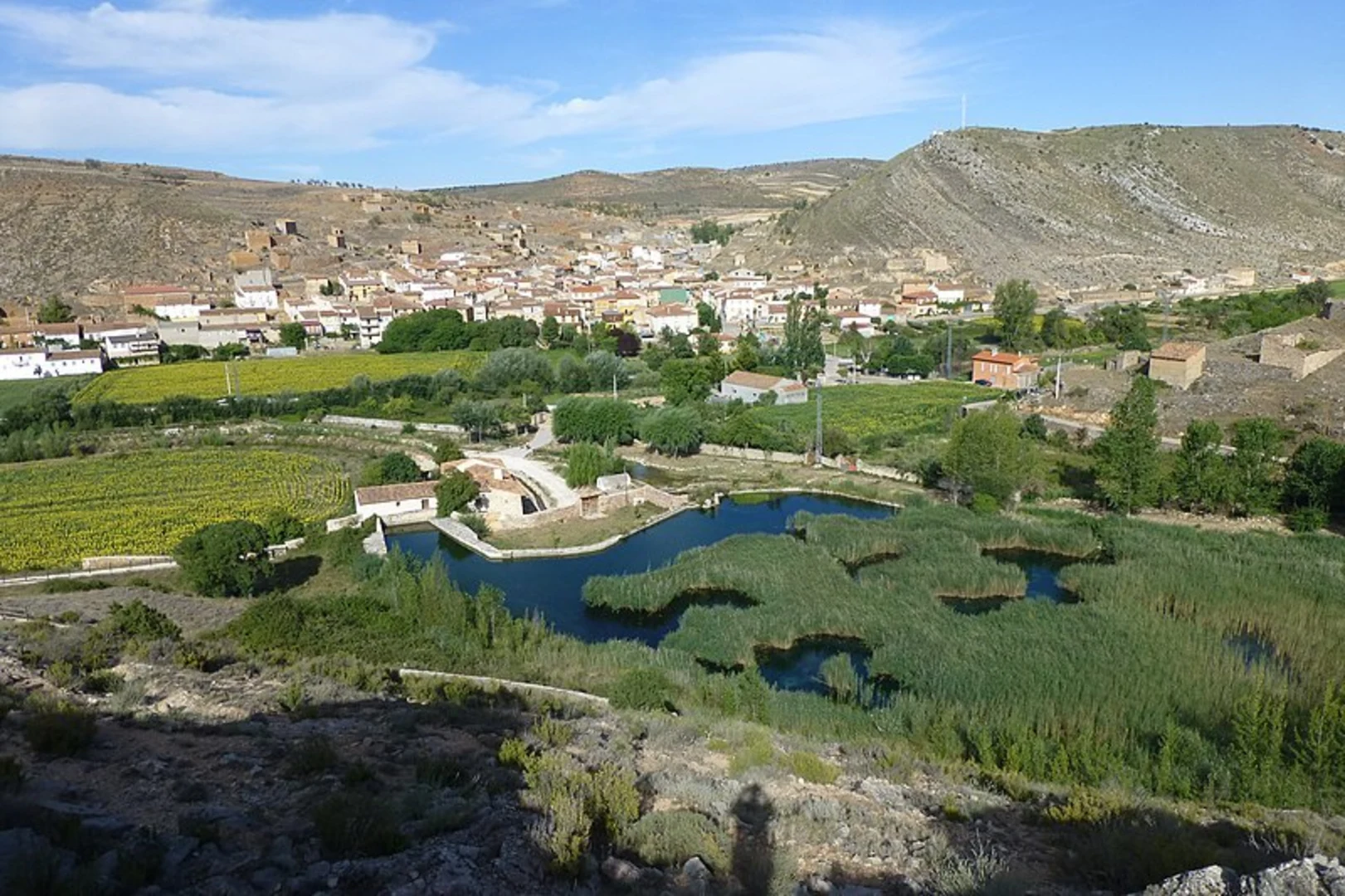 An image depicting the trail Route of Cerro Carrascoso de Cimballa SL Z 15 and its surrounding area.