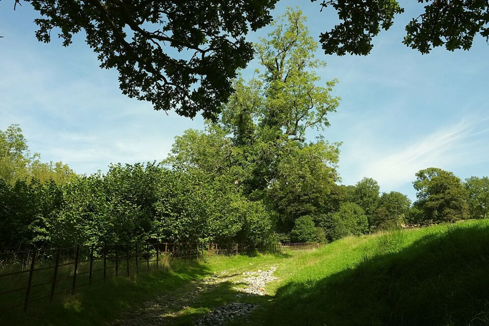 An image depicting the trail Dorchester to Minterne Magna Loop and its surrounding area.