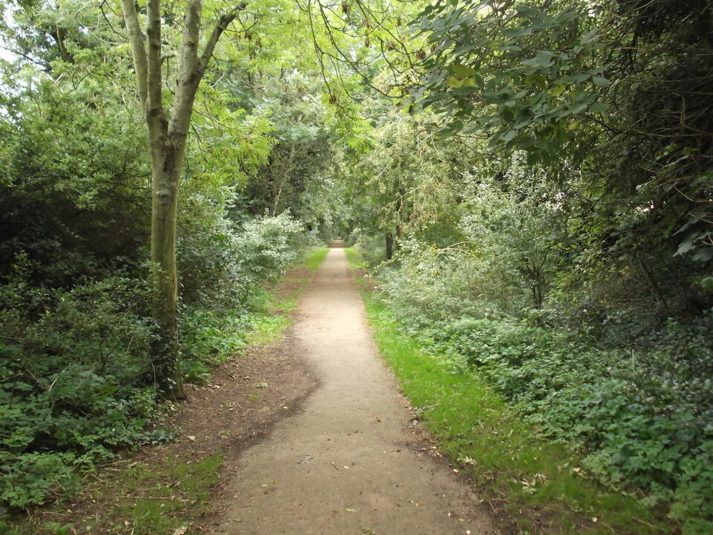 An image depicting the trail Louth Railway Walk and its surrounding area.