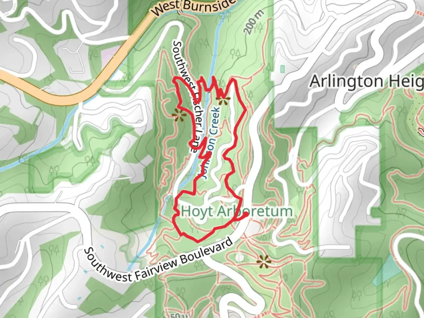 An image depicting the trail Redwood Trail, Wildwood Trail and Spruce Loop Trail and its surrounding area.