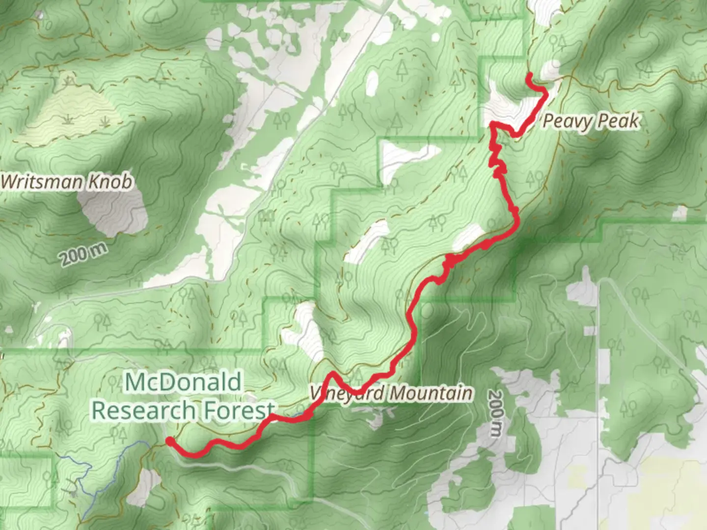 An image depicting the trail Vineyard Mountain Trail and Dave's Trail and its surrounding area.