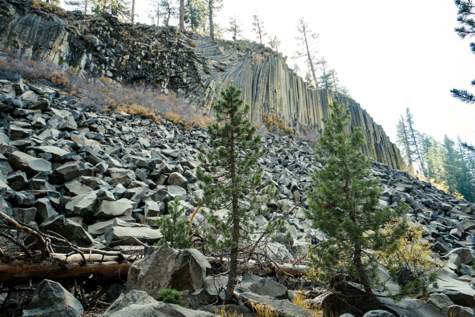 An image depicting the trail Postpile Ranger Station Trail and its surrounding area.