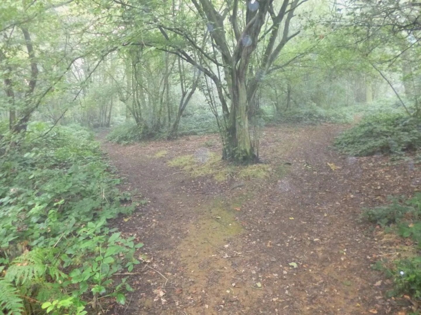 An image depicting the trail Everdon Stubbs and Little Everdon Loop and its surrounding area.
