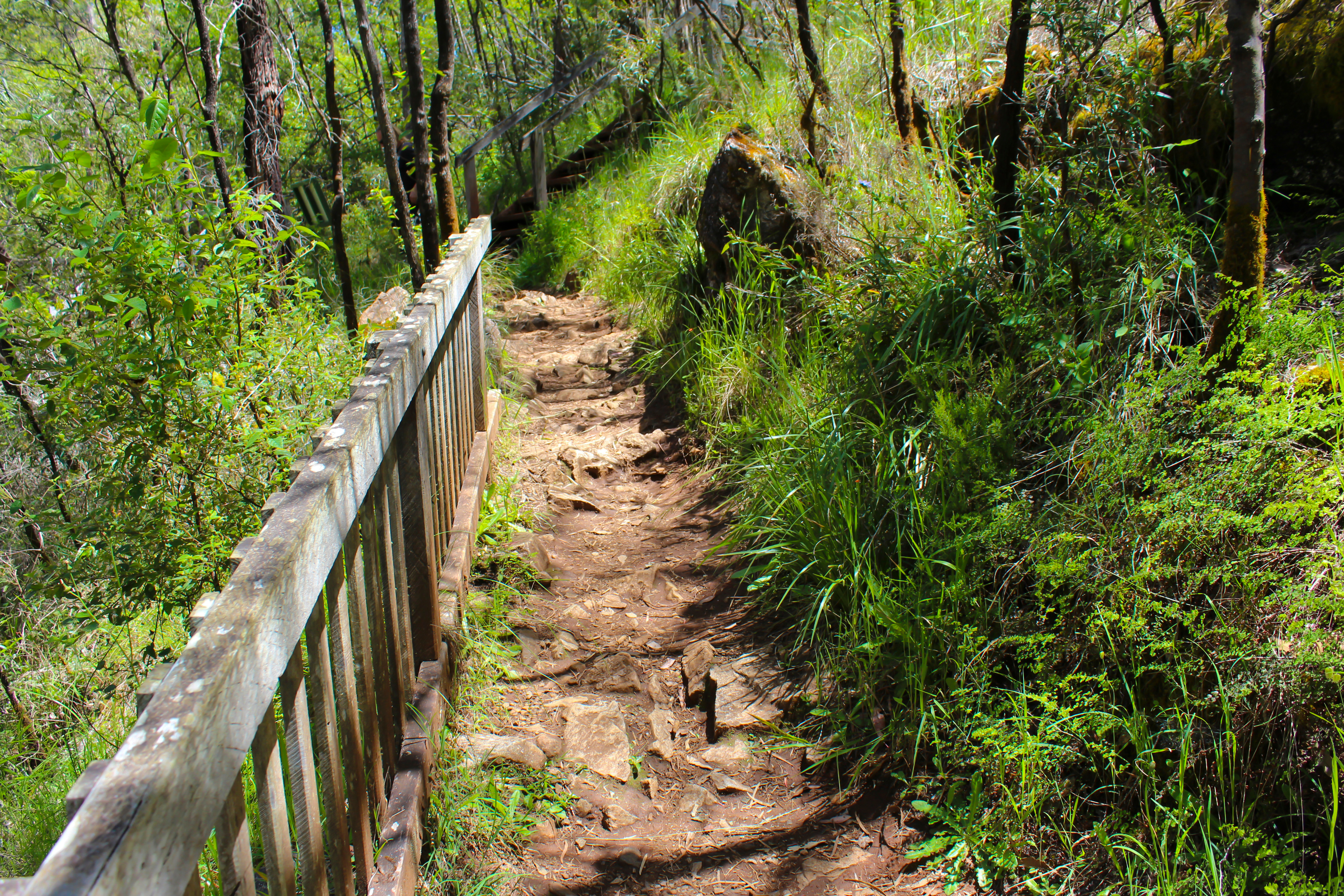 An image depicting the trail Warren National Park and its surrounding area.