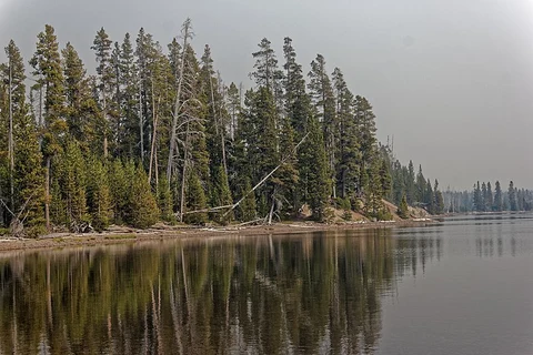 An image depicting the trail Riddle Lake Trail and its surrounding area.