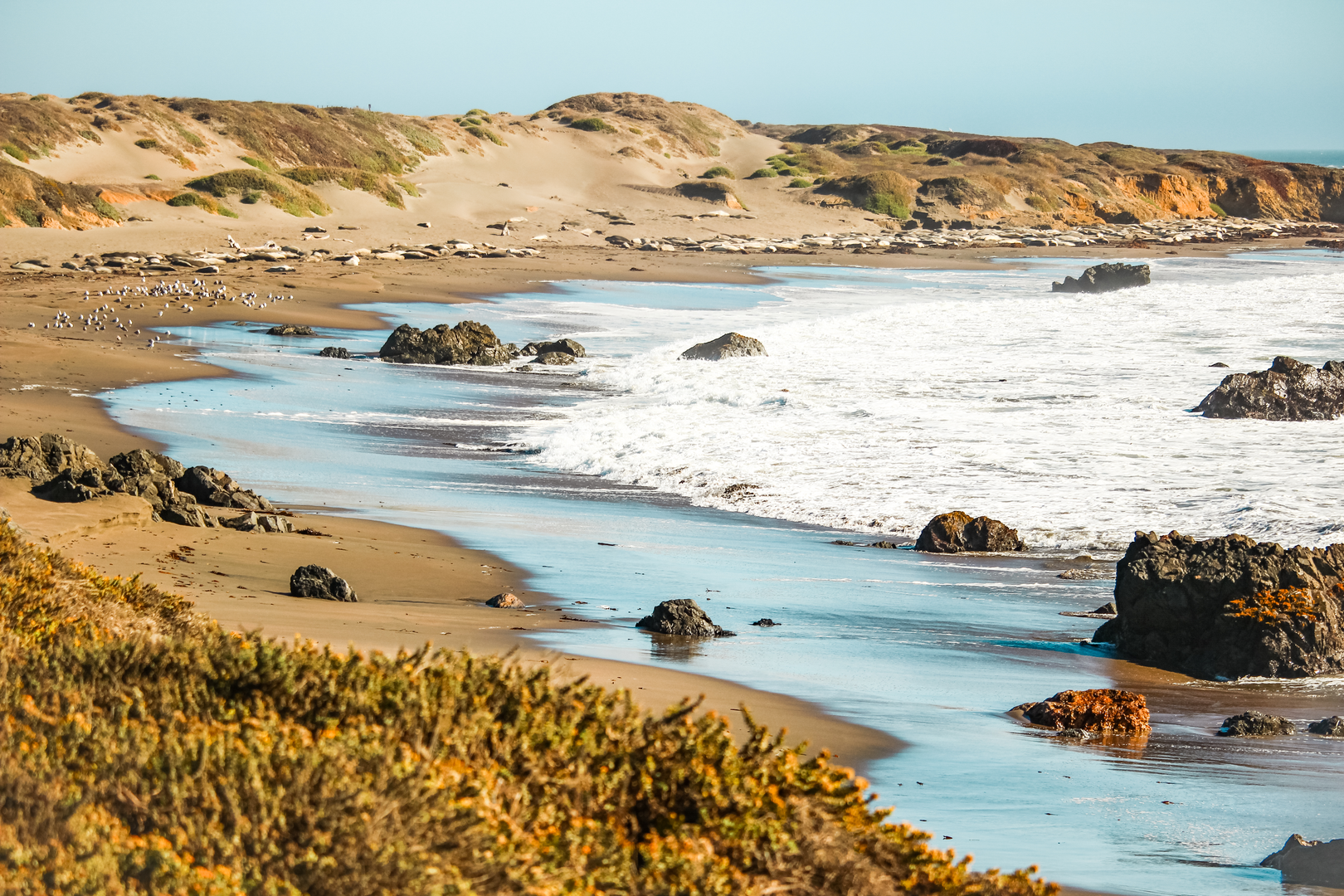 An image depicting the trail Elephant Seal Vista Point Walk and its surrounding area.