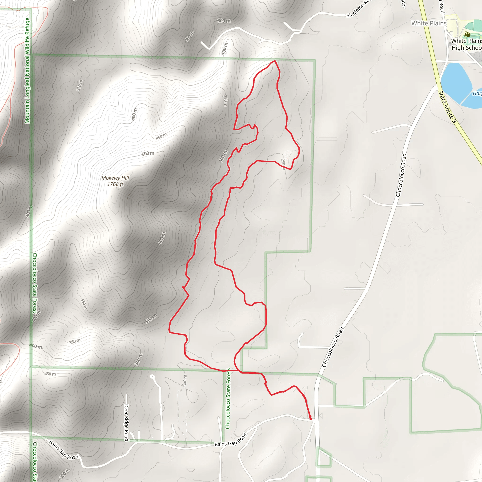 Iron Legs Loop mobile static map