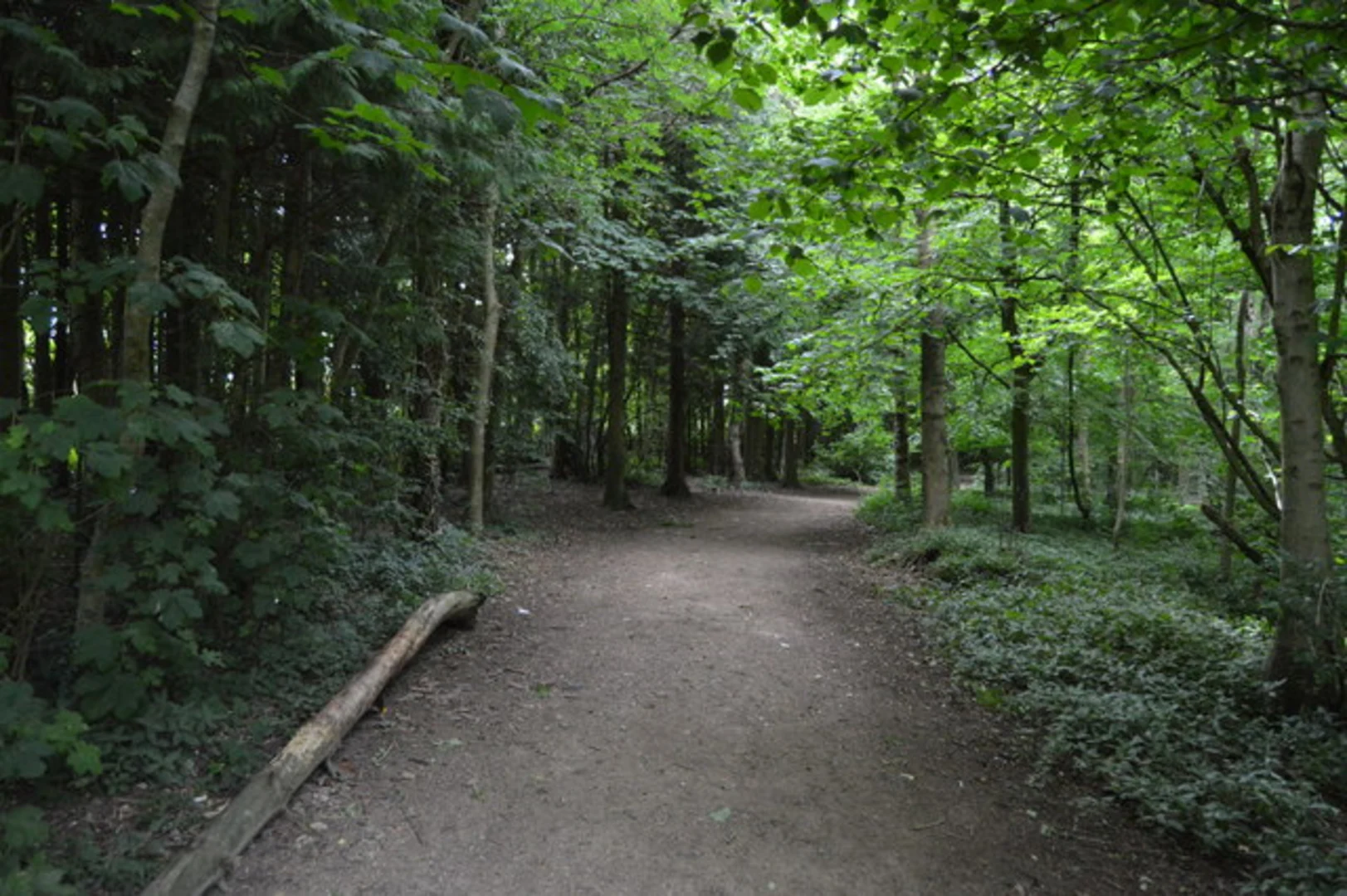 An image depicting the trail Helvellyn, Highpark Wood and Straining well Loop and its surrounding area.