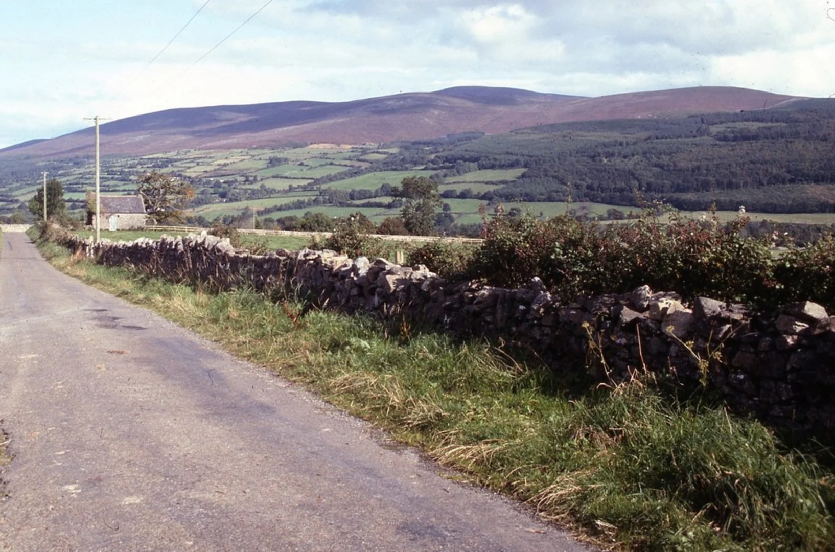 An image depicting the trail Sheegouna and Slievenamon Loop via Killurney and its surrounding area.
