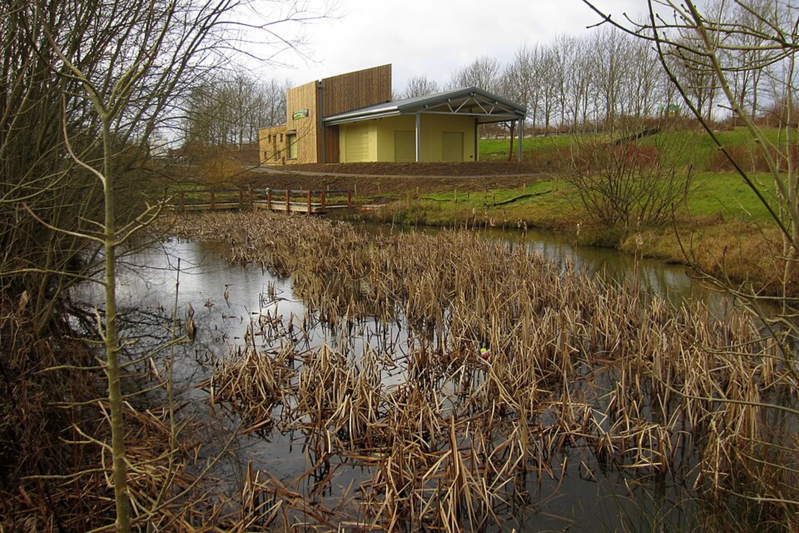 An image depicting the trail Howe Park Wood Loop and its surrounding area.