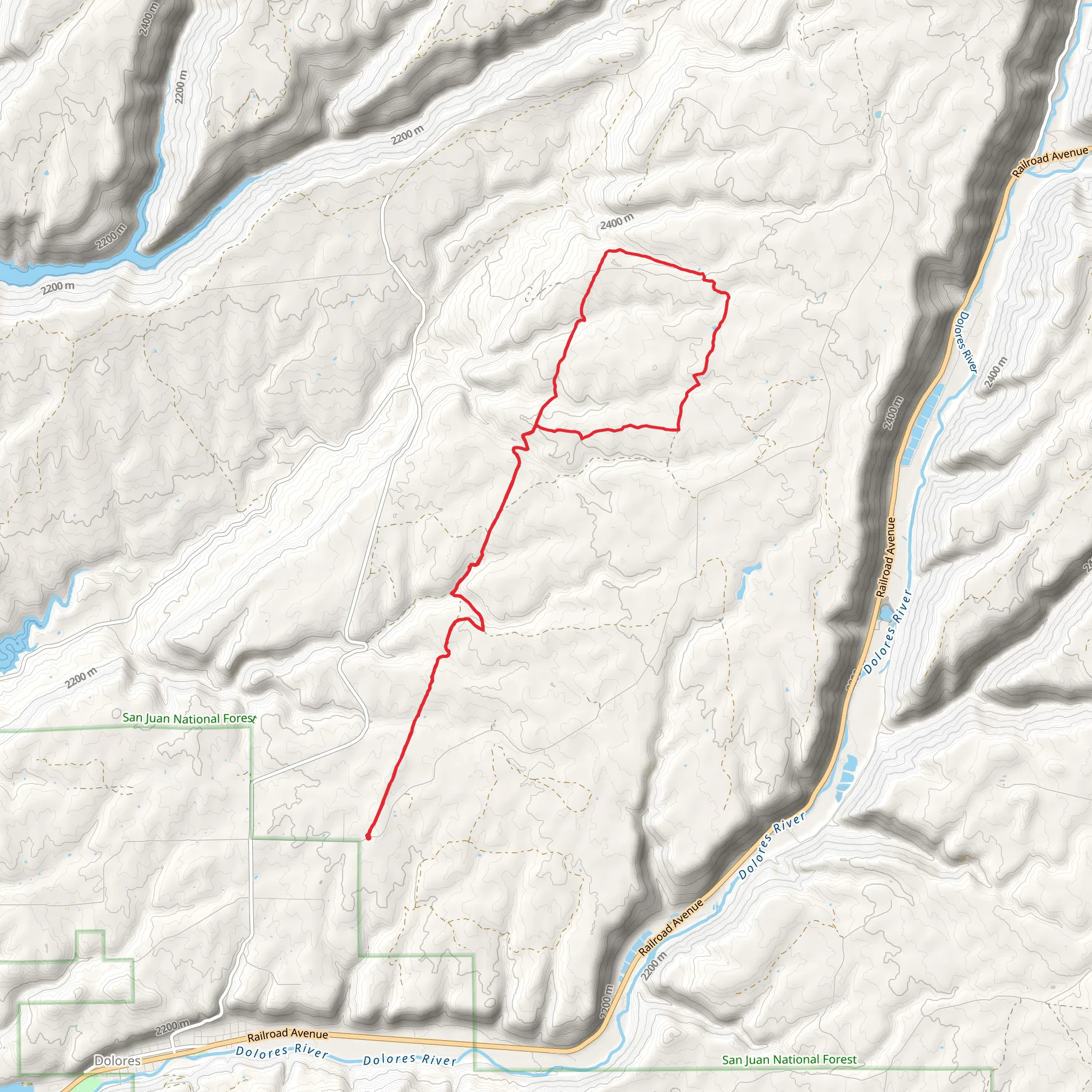 Boggy Lower Loop Trail mobile static map
