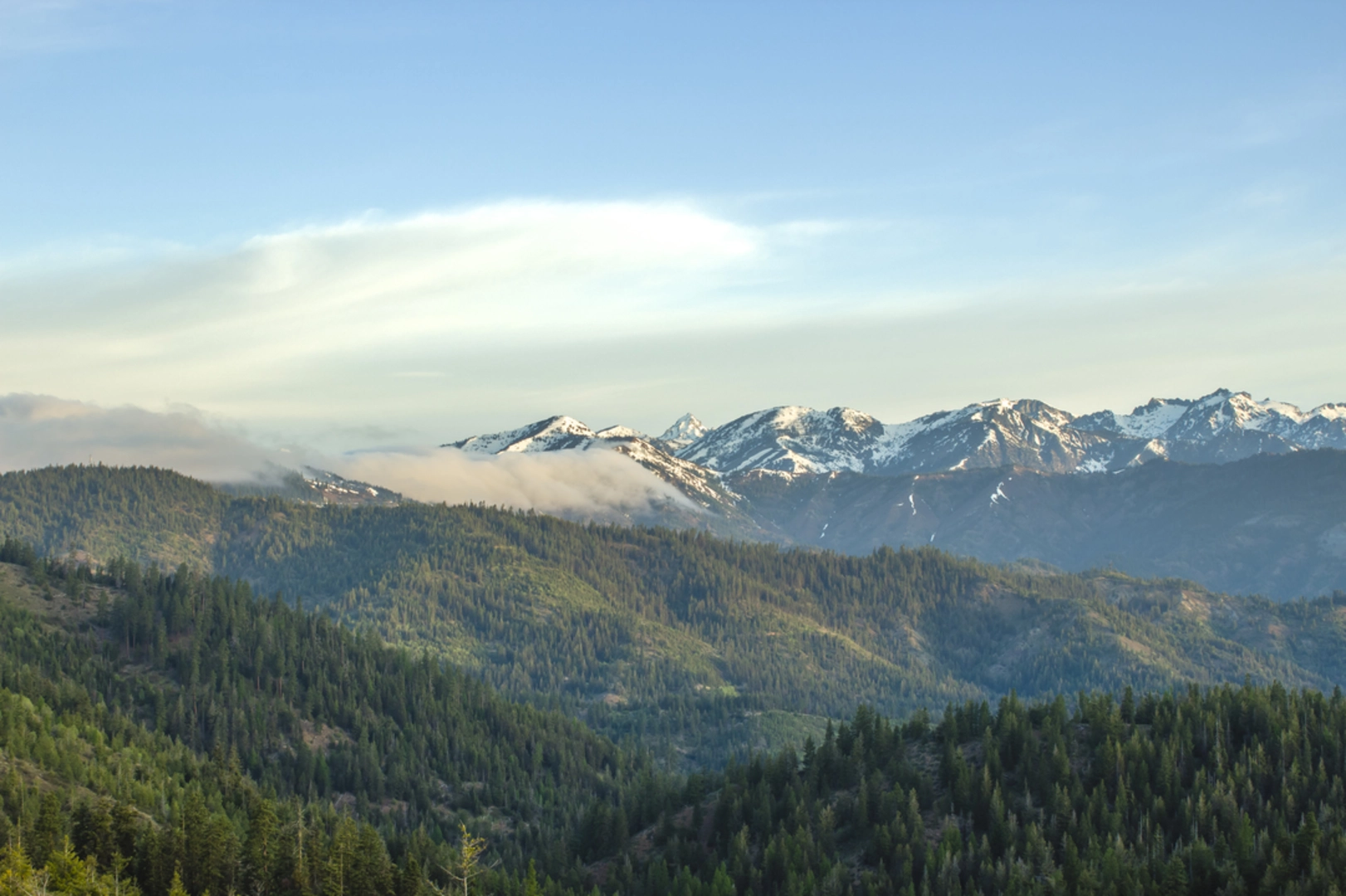 An image depicting the trail Swauk Forest Discovery Trail and its surrounding area.