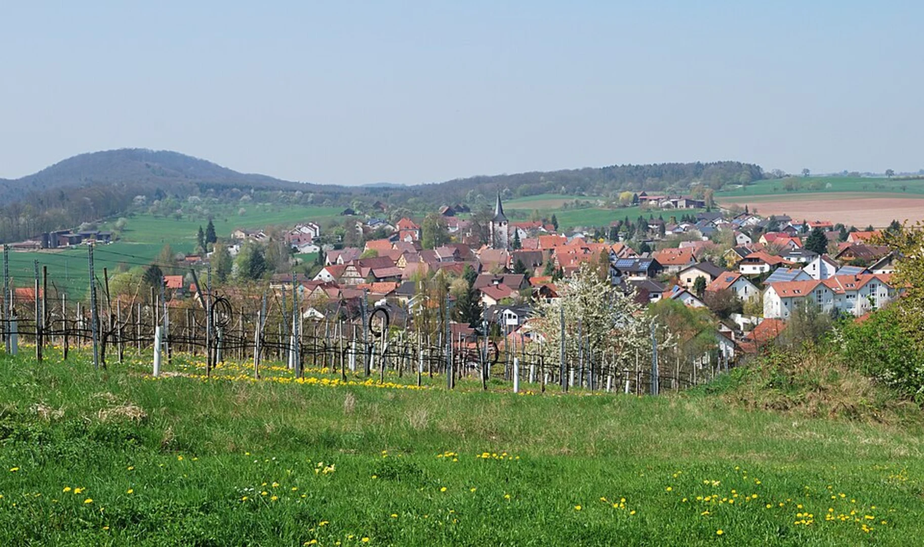 An image depicting the trail Stromberg Schwaebischer Wald Weg and its surrounding area.