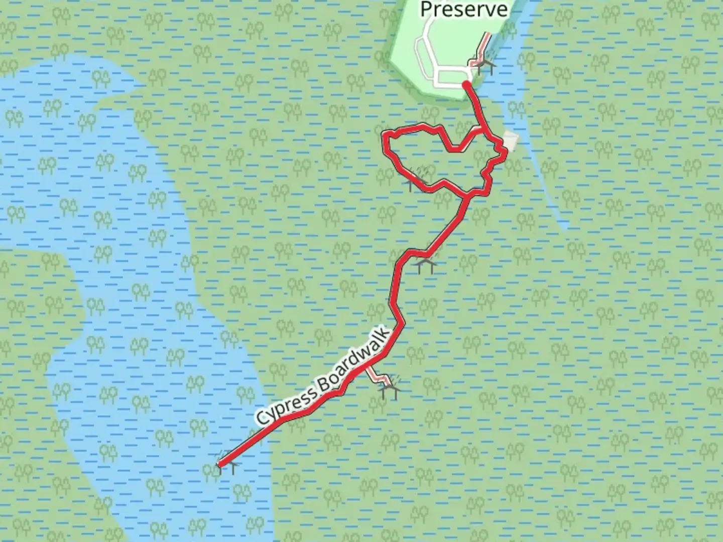 An image depicting the trail Cypress Boardwalk and its surrounding area.