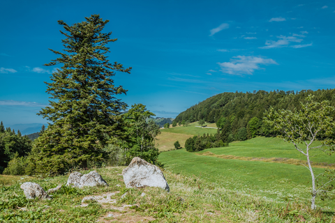 Balmberg - Röti Loop Trail