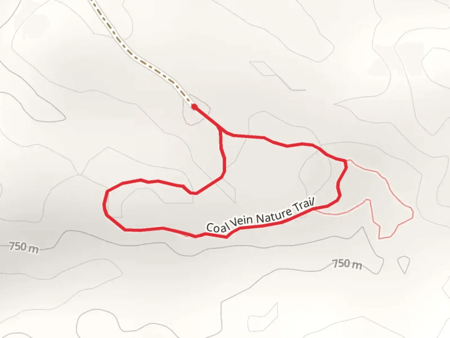 An image depicting the trail Coal Vein Nature Loop Trail and its surrounding area.