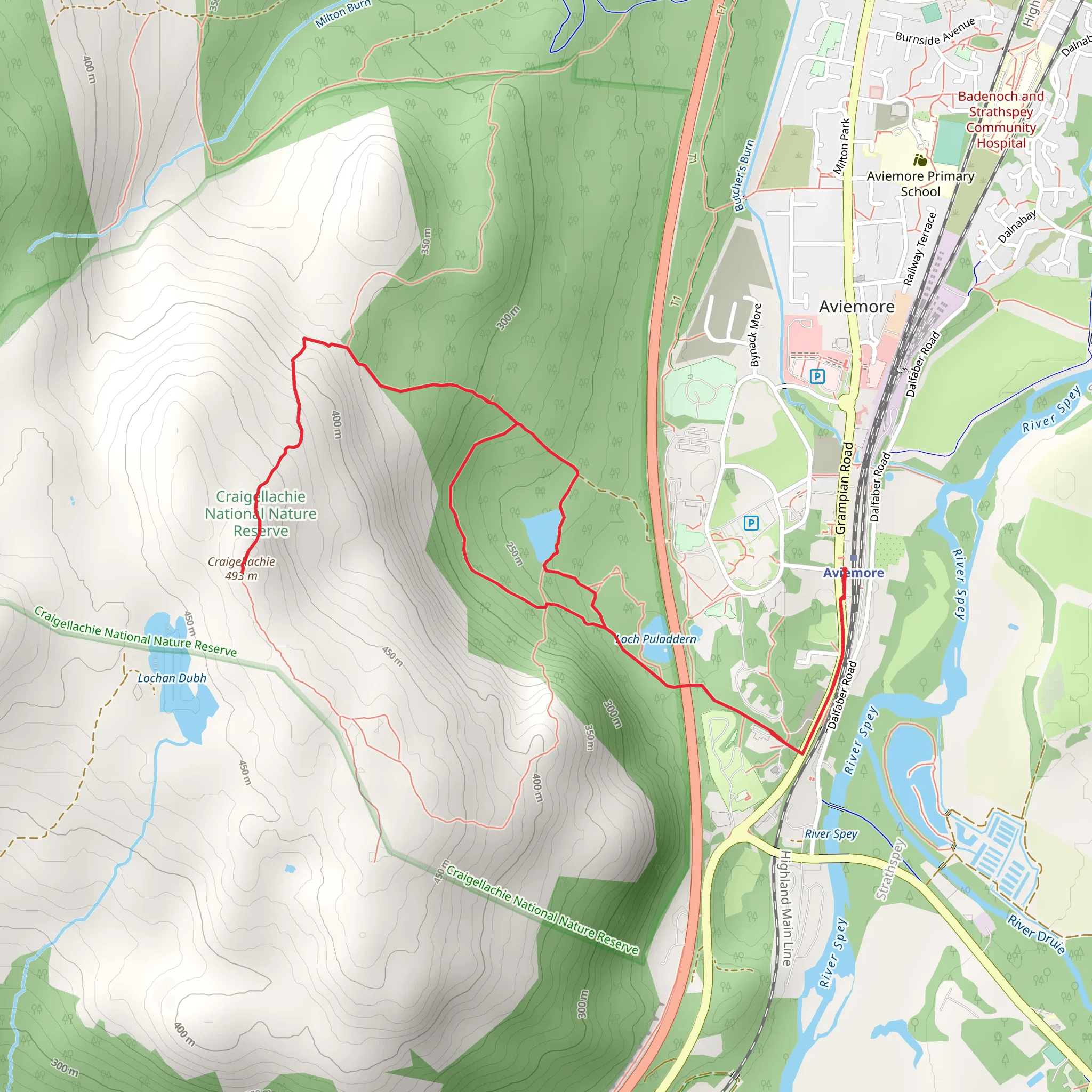 Craigellachie Nature Reserve Loop mobile static map