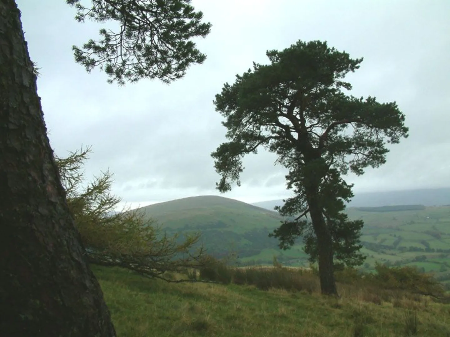 An image depicting the trail Little Mell Fell Loop and its surrounding area.