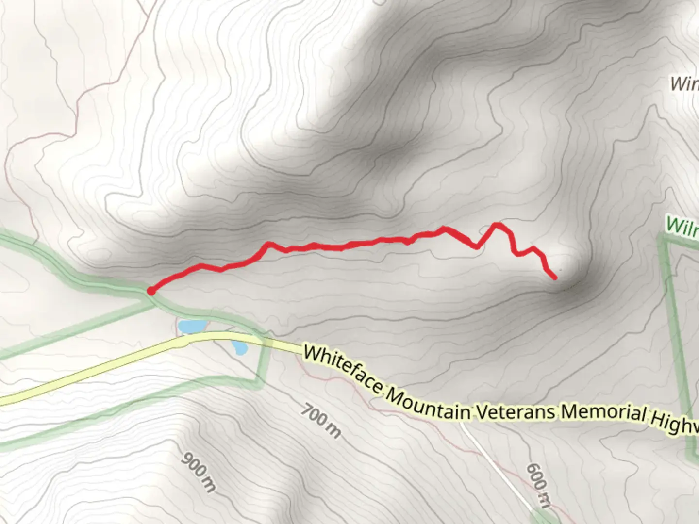 An image depicting the trail Cobble Lookout Trail and its surrounding area.