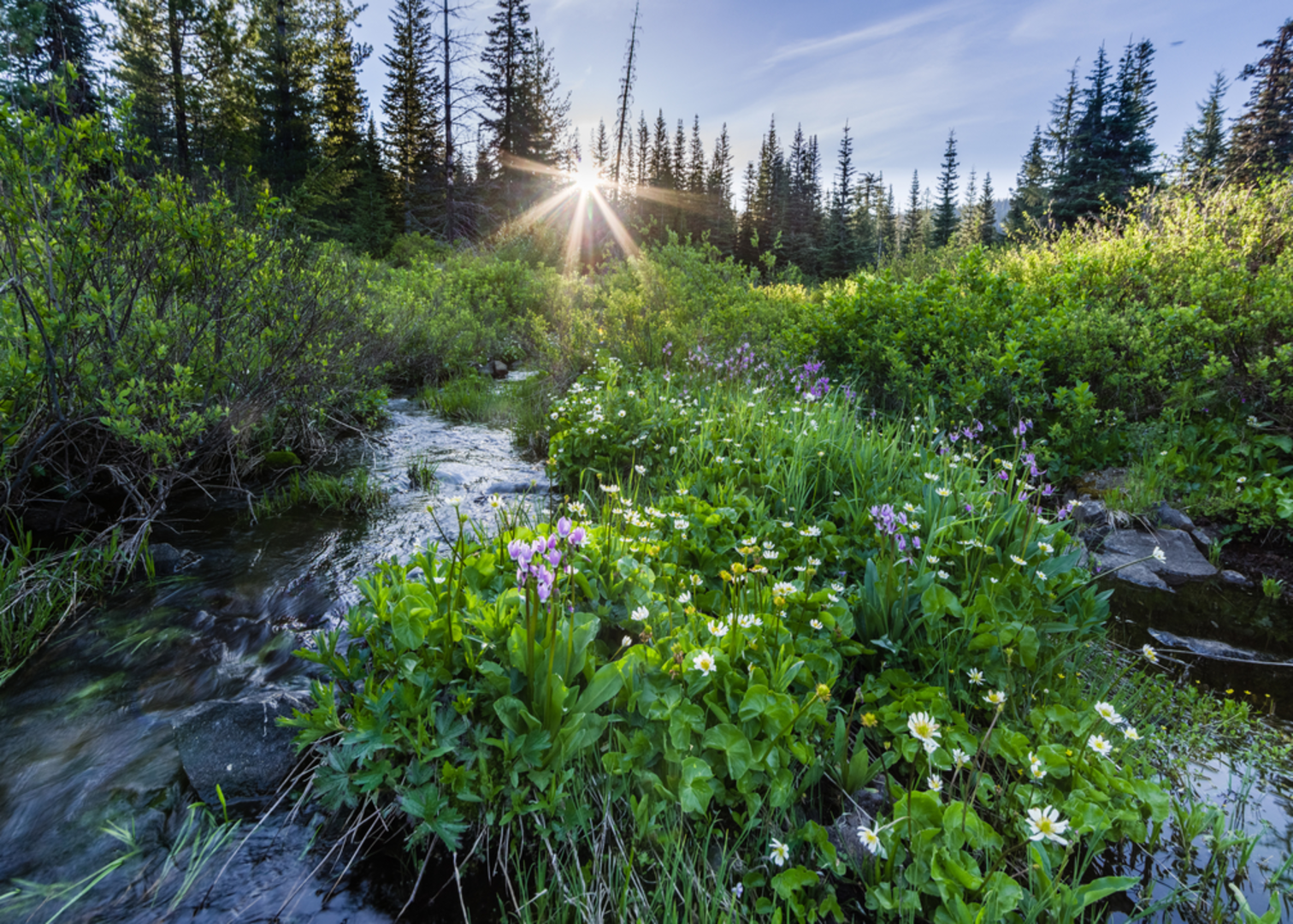 An image depicting the trail Blair Lake Trail and its surrounding area.