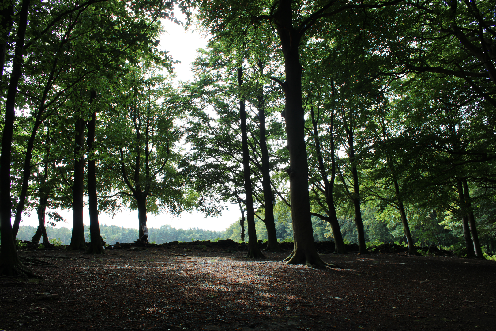 An image depicting the trail A Circuit of Eccup Reservoir and its surrounding area.