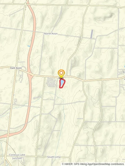 Twin Cedars Loop Trail