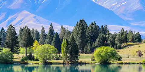 An image depicting the trail Tarnbrae Track A2O and its surrounding area.