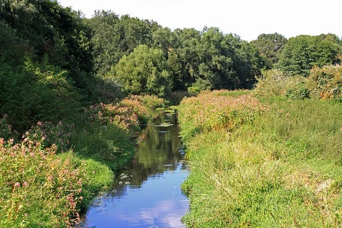 An image depicting the trail Kurpark Friedrichshagen and Krummendammer Loop and its surrounding area.