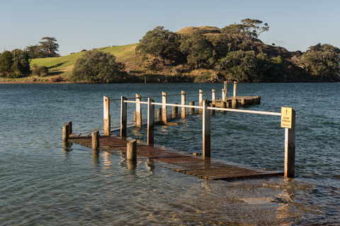 Motukiore Island Walk