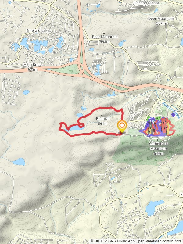 Beehive and Wolf Swamp Run Loop Trail