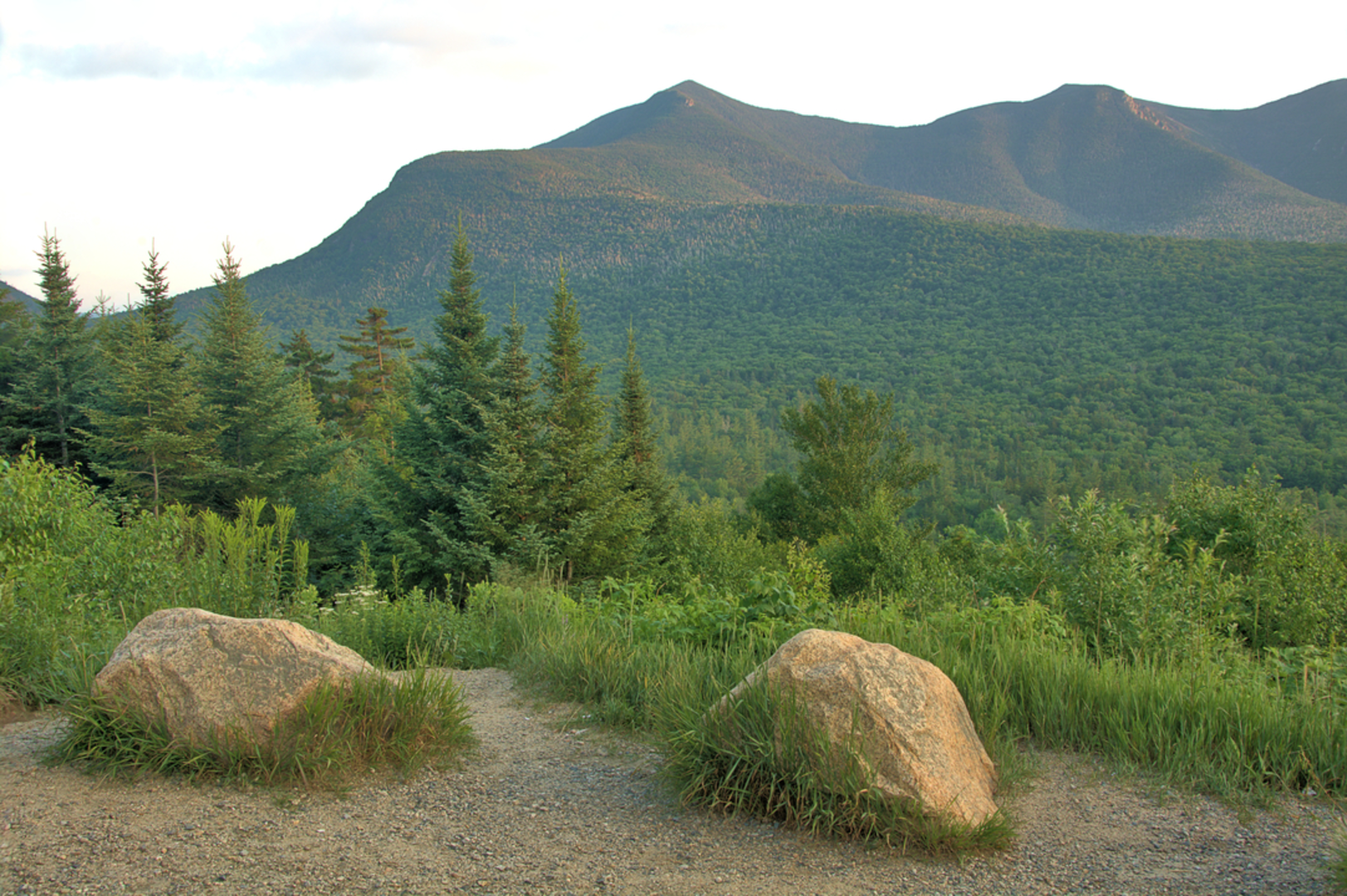 An image depicting the trail Mount Osceola and East Peak via Mount Osceola Trail and its surrounding area.