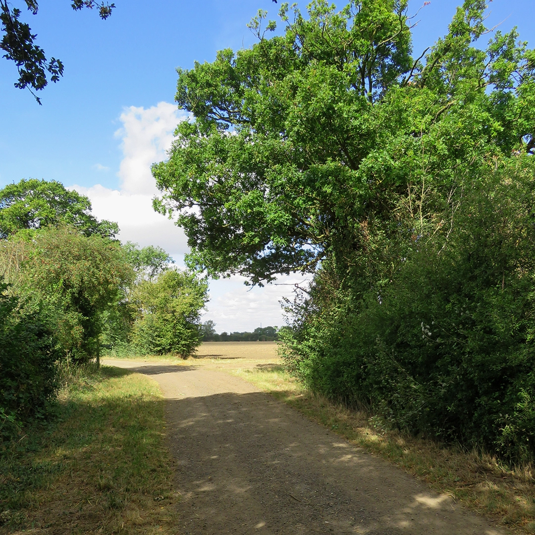 An image depicting the trail Anglesey Abbey Loop and its surrounding area.