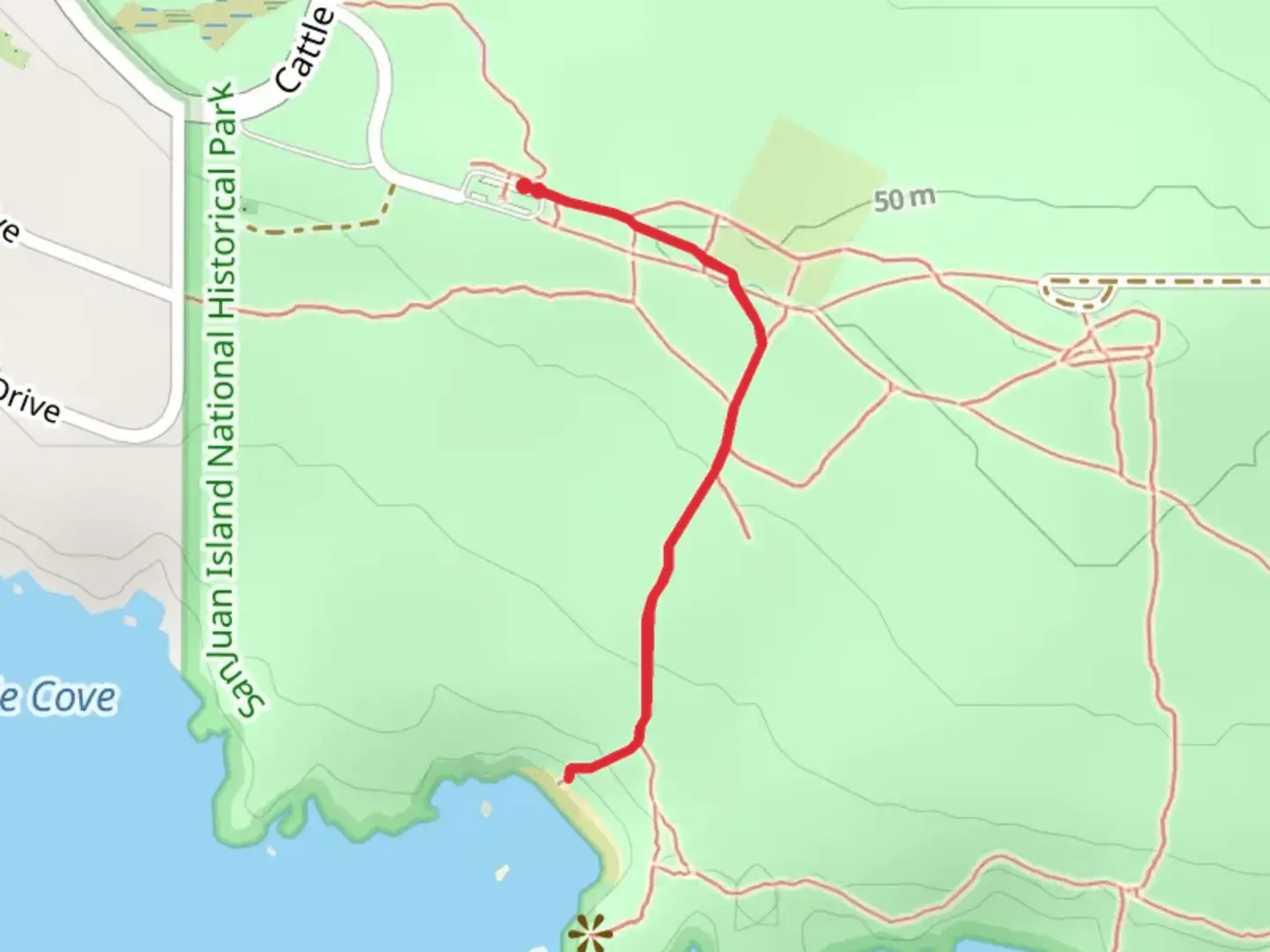 An image depicting the trail Grandma's Cove and its surrounding area.