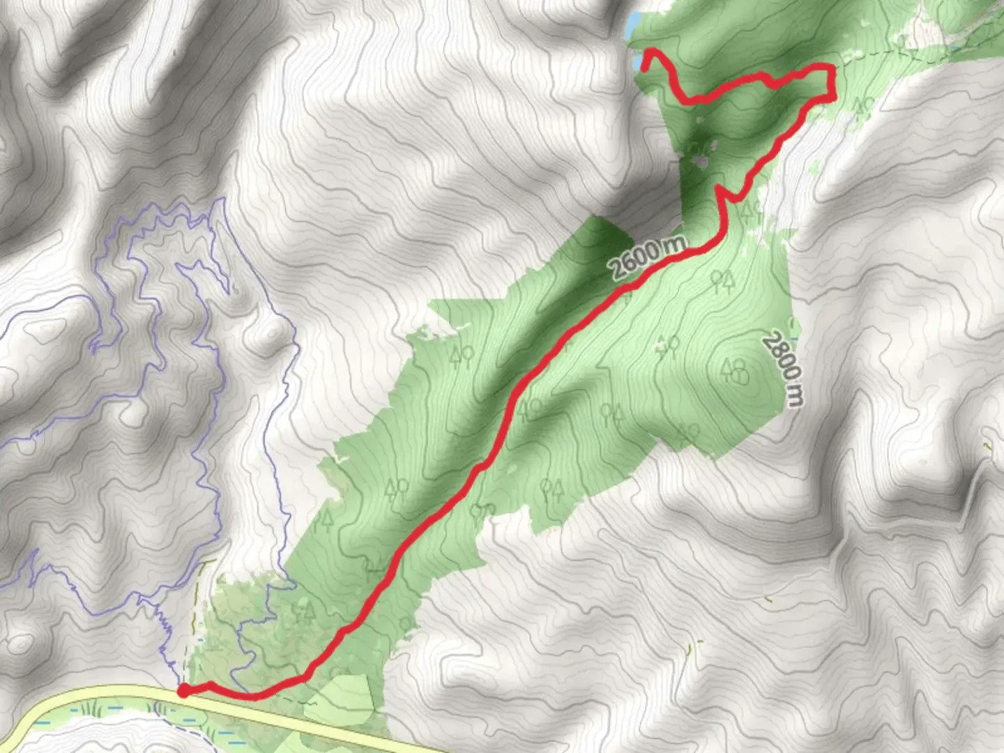 An image depicting the trail Yellow Pine Trail and its surrounding area.