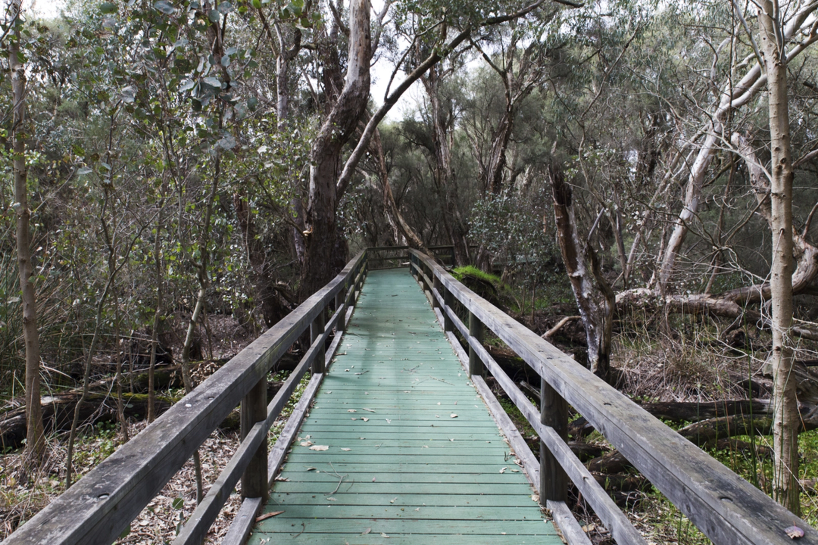 An image depicting the trail Spectacles Aboriginal Heritage Trail and its surrounding area.