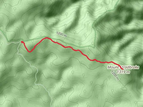 Mount Stradbroke Trail