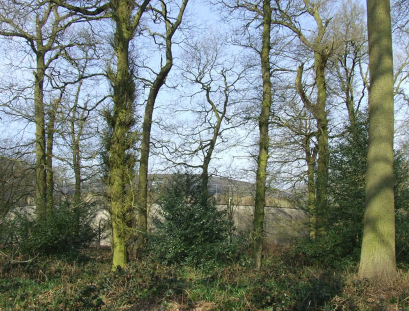 An image depicting the trail Wrottesley Park, Simmond's Wood and Smith's Rough Loop and its surrounding area.