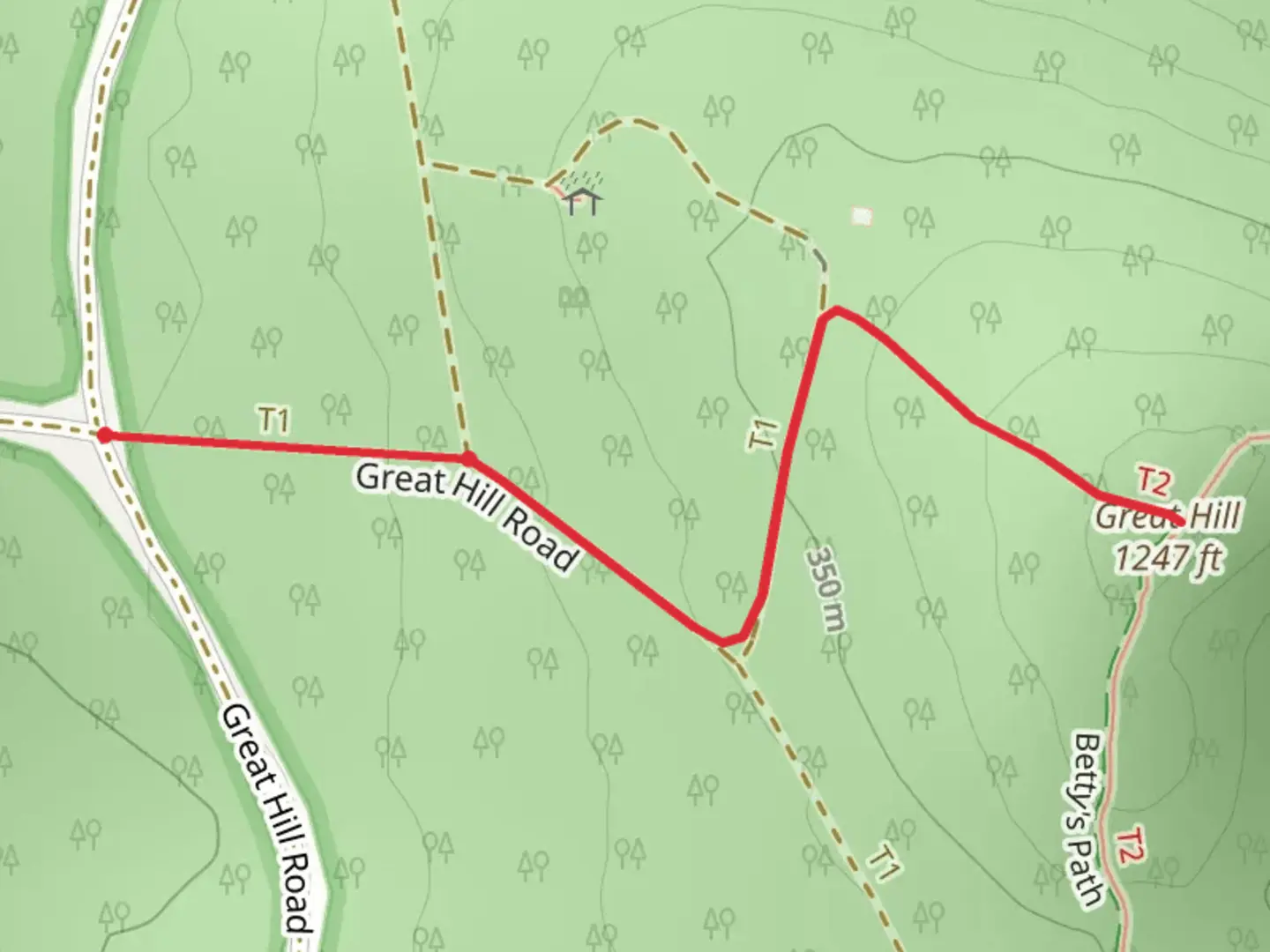 An image depicting the trail Great Hill Short Trail and its surrounding area.