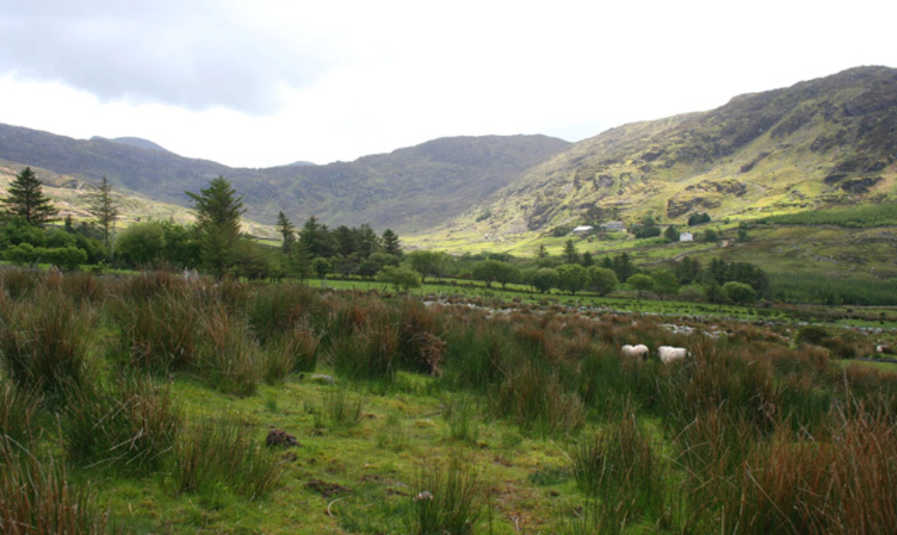 An image depicting the trail Lough Curraghmore, Carrauntoohil and Caher Loop via Kerry Way and its surrounding area.