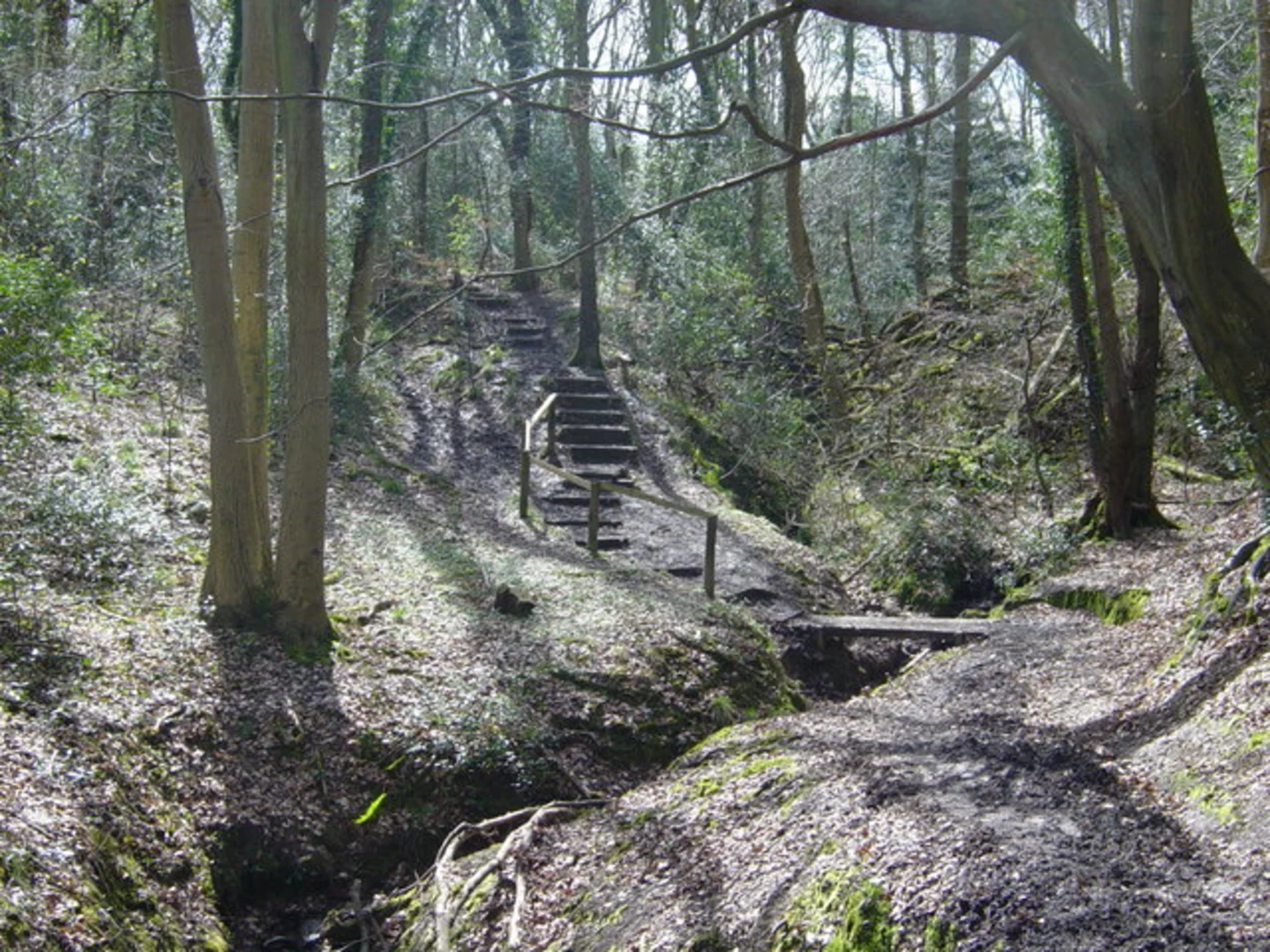 An image depicting the trail Benthall Edge Wood via Cross Britain Way and its surrounding area.