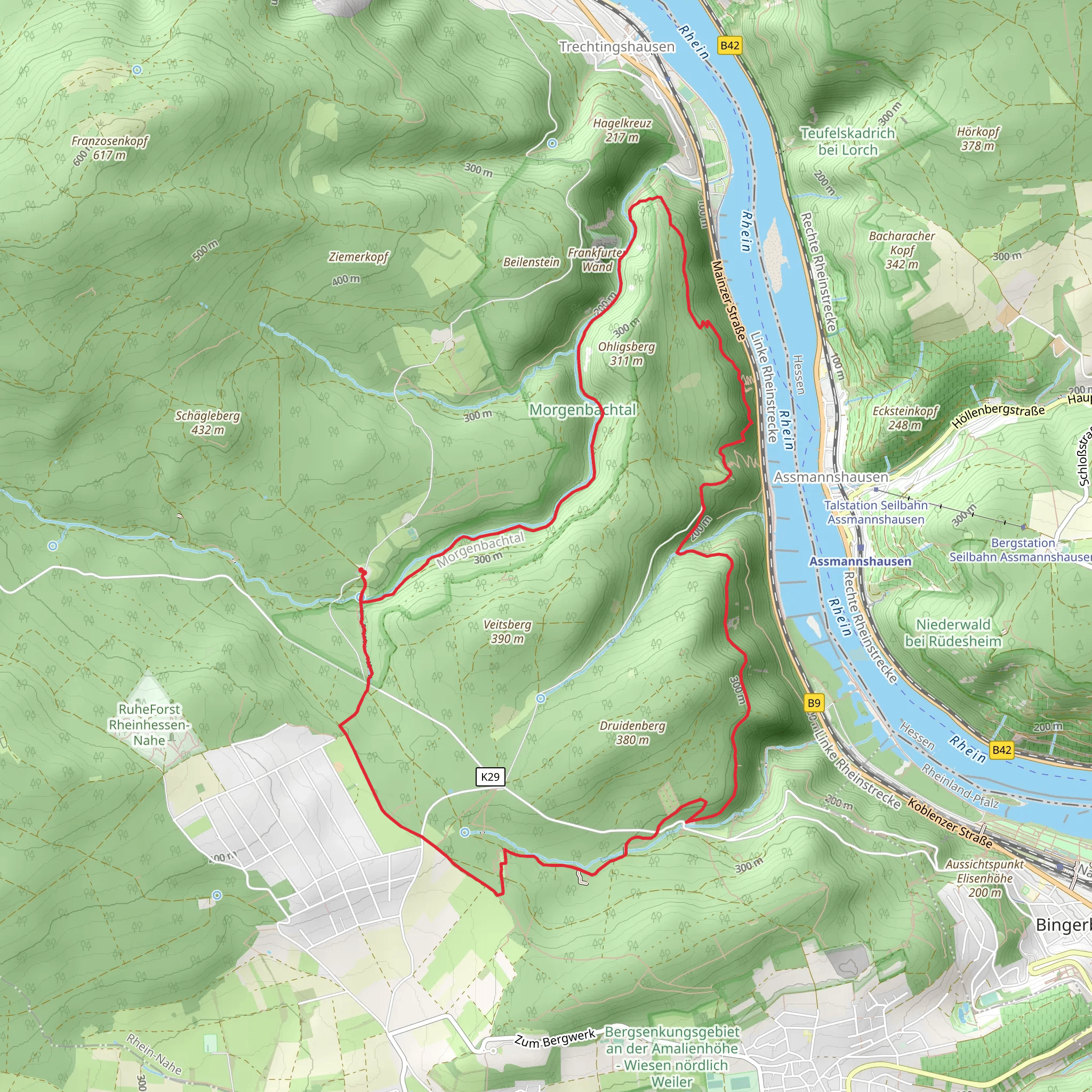 Welterbesteigh Oberes Mittelrheintal and Soonwaldstig Loop mobile static map