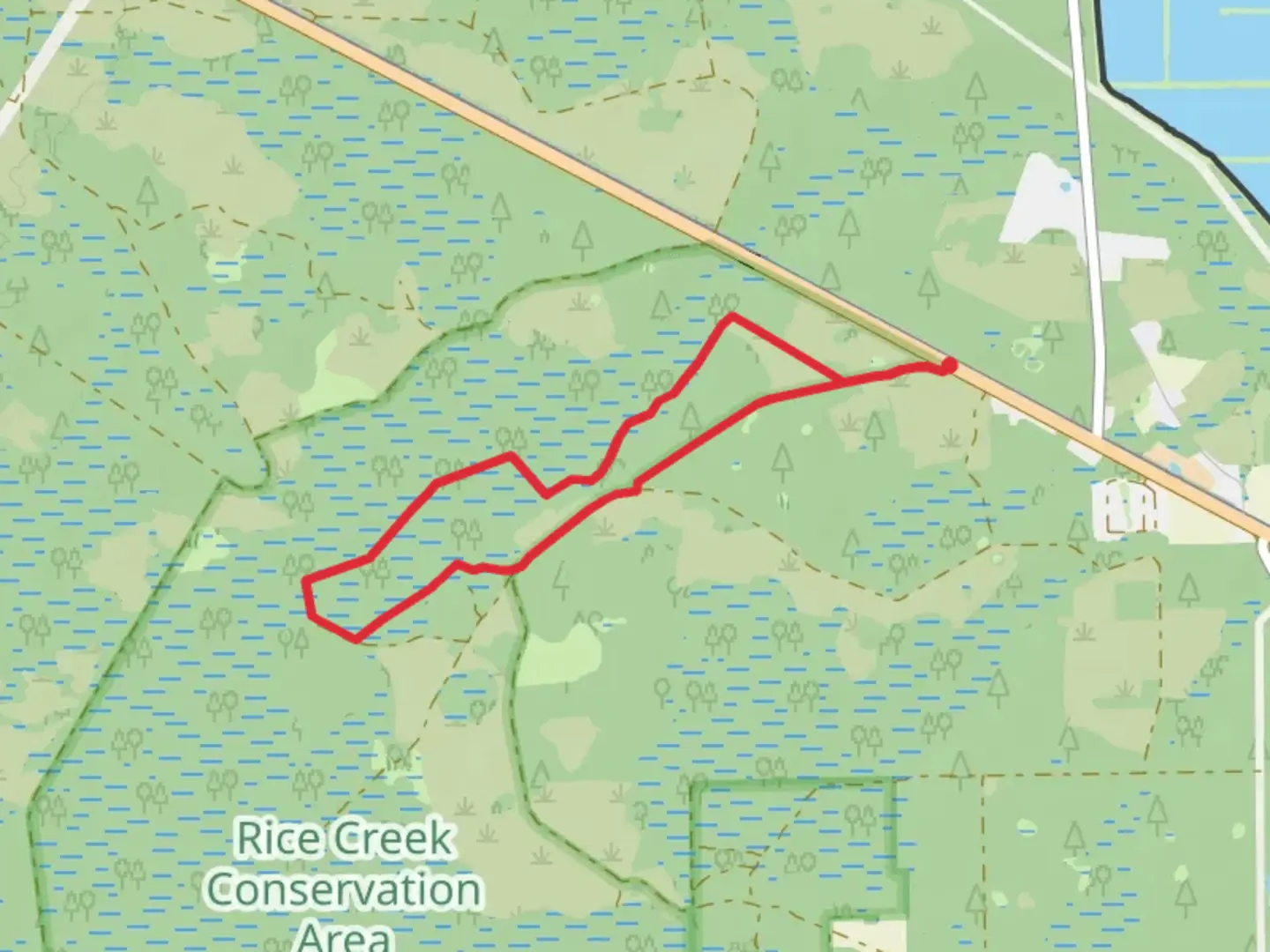 An image depicting the trail Rice Creek Swamp Loop and its surrounding area.