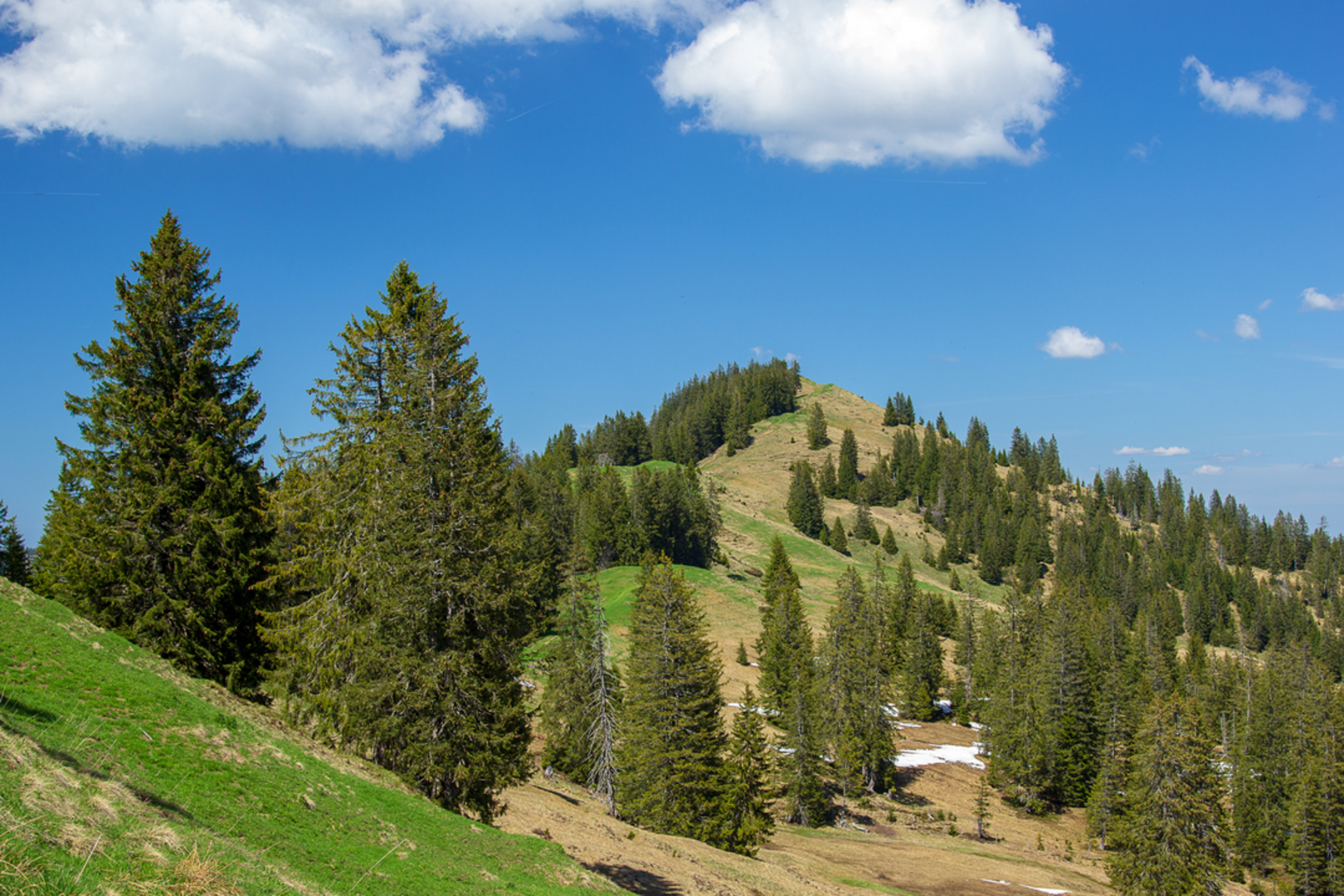 An image depicting the trail Furggelen and its surrounding area.