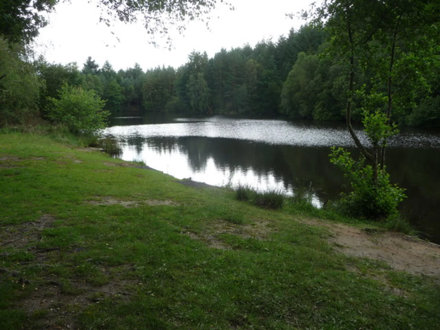 An image depicting the trail Speech House Lake Loop and its surrounding area.