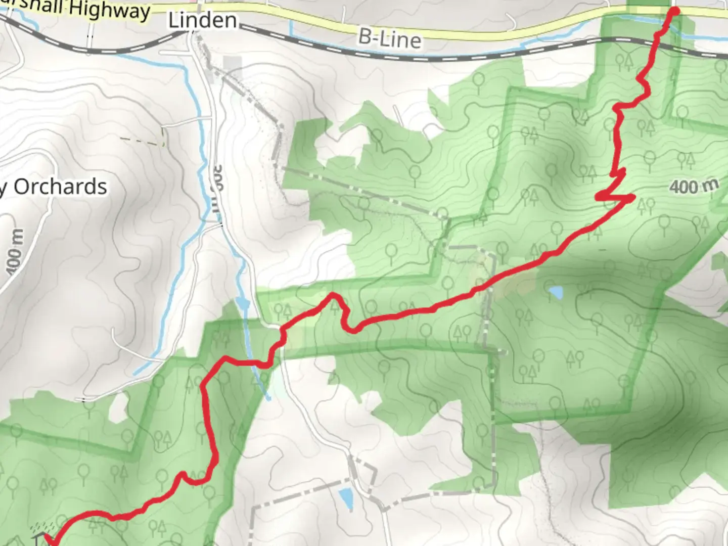 An image depicting the trail Jim and Molly Denton Shelter Appalachian Trail and its surrounding area.