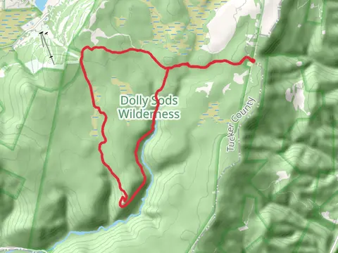 Blackbird Knob, Big Stonecoal and Rocky Point Loop Trail