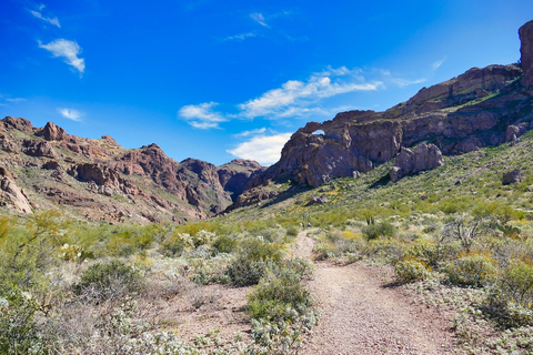 An image depicting the trail Arch Canyon Trail and its surrounding area.