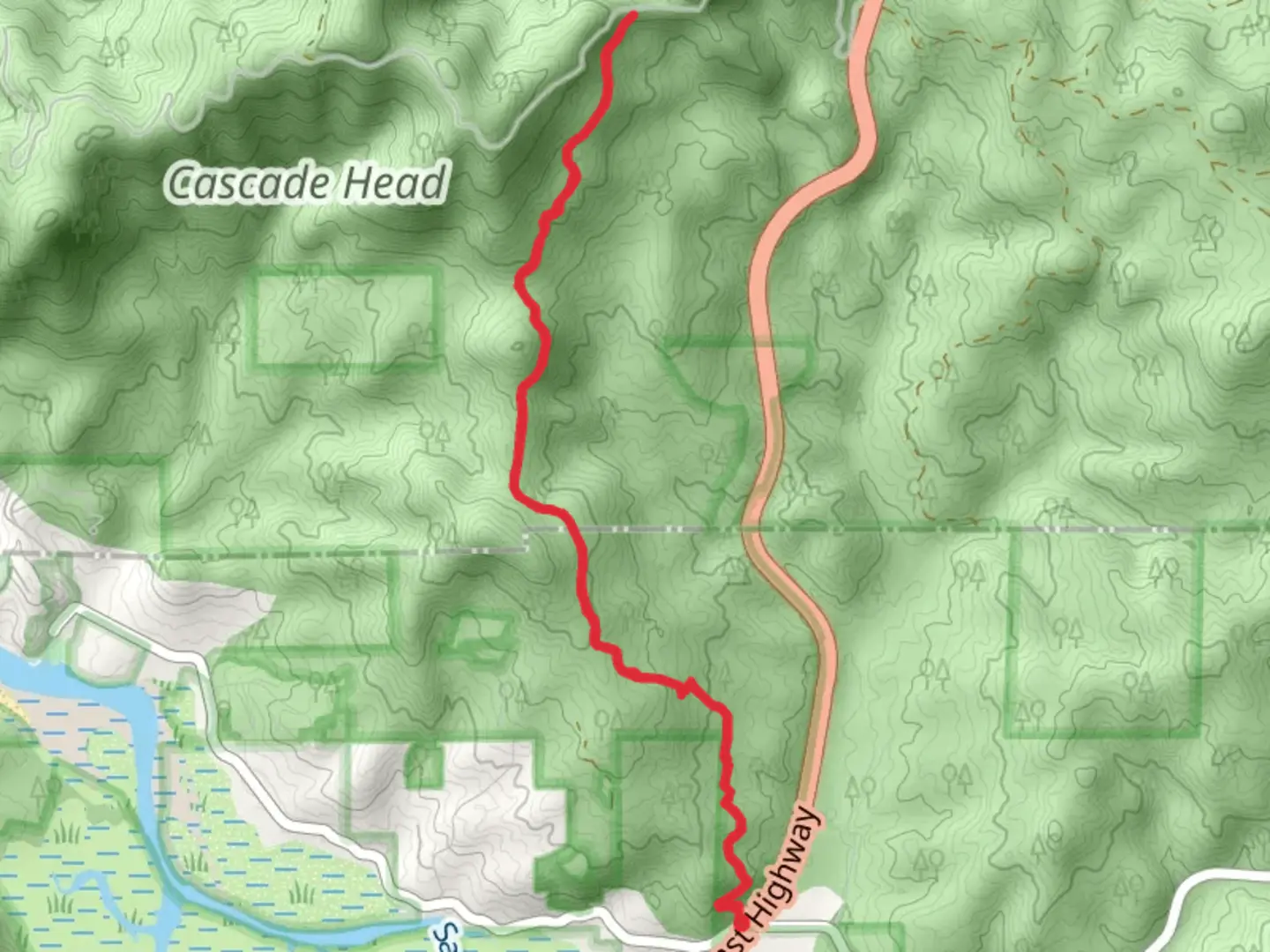 An image depicting the trail Cascade Head Rainforest Trail and its surrounding area.
