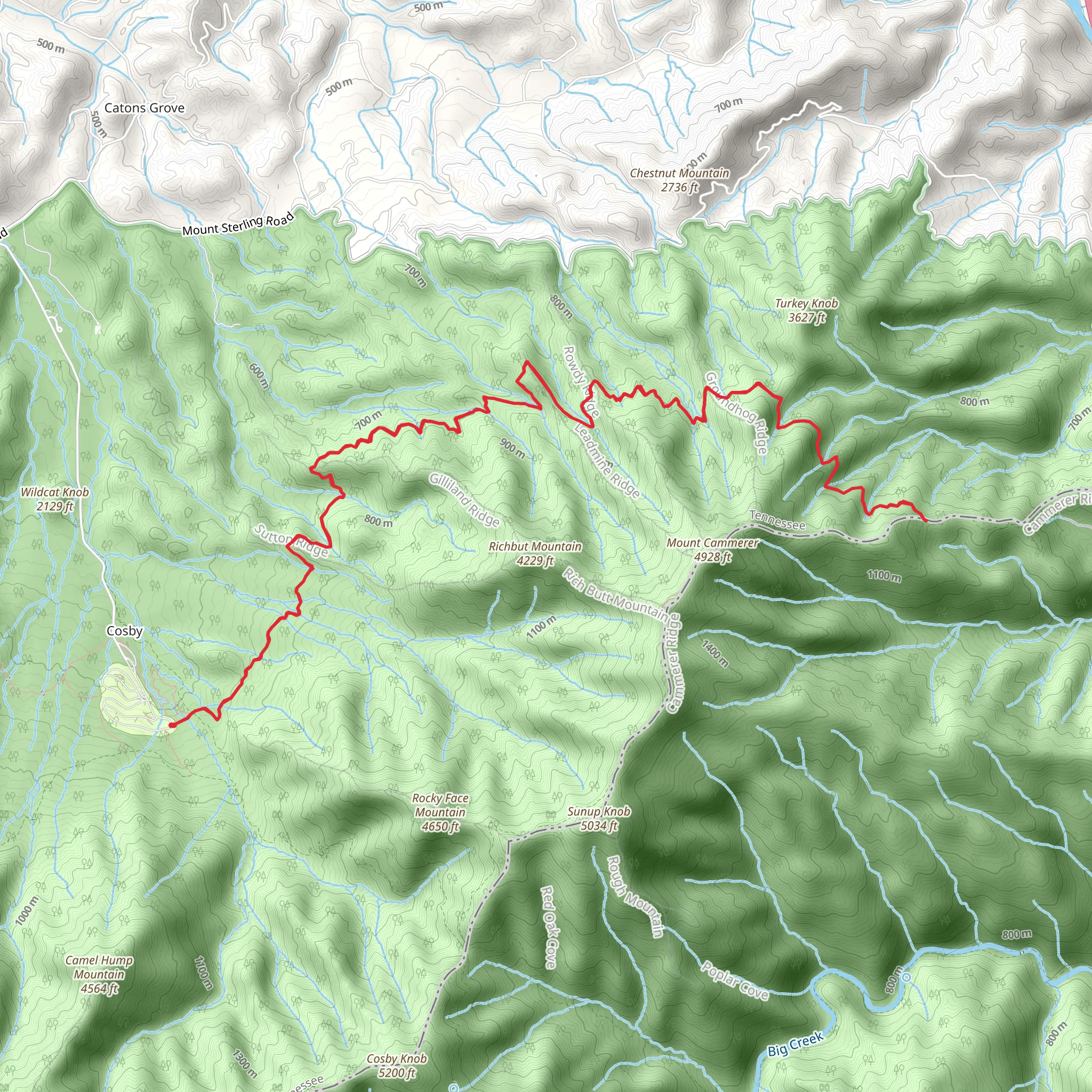 Lower Mount Cammerer Trail mobile static map